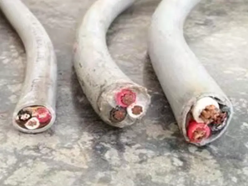 電線系｜電線60%
